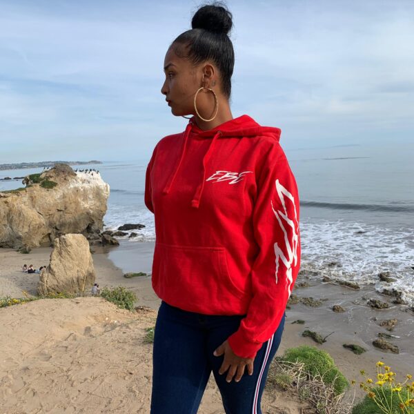 EBE Dragon Hoodie